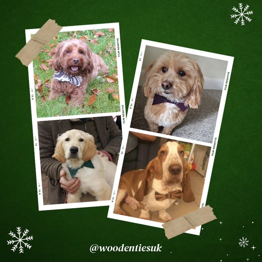 Dogs wearing Wooden Ties bow ties - polaroid collage